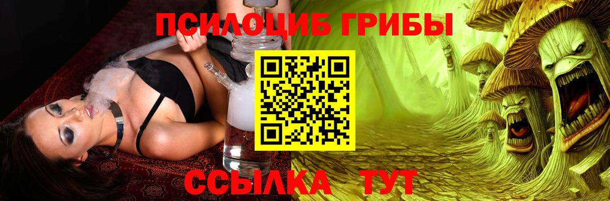 Галлюциногенные грибы GOLDEN TEACHER Гусиноозёрск